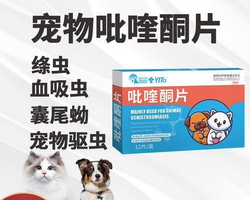 如何选择合适的泰迪驱虫药？（为宠物泰迪选择最佳驱虫药品的关键因素和注意事项）