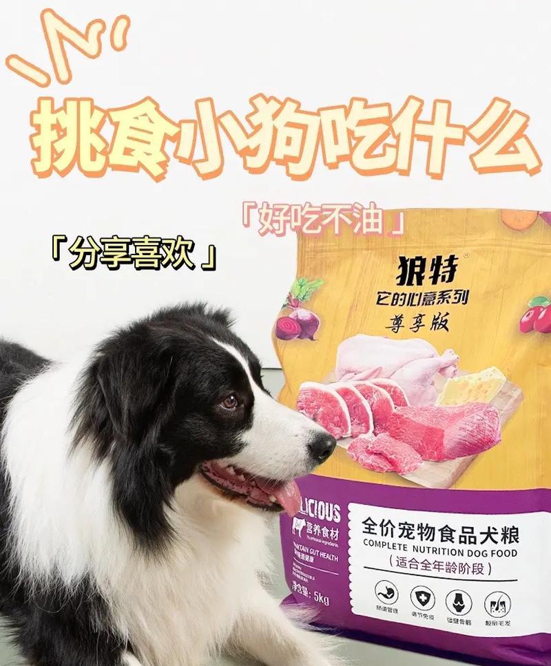 关于一个月大小狗的饮食问题（了解小狗的营养需求，给予健康饮食）