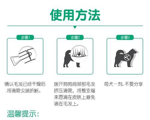 宠物狗狗打虫药后注意事项（保护你的狗狗免受虫害侵扰）