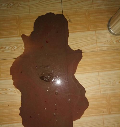 狗狗吐拉血的原因与处理方法（了解狗狗吐拉血的常见原因和适当的应对措施）