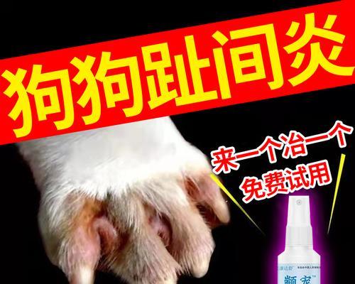 如何帮助狗狗恢复食欲与饮水？（以药物为主的有效措施及关键性药物介绍）