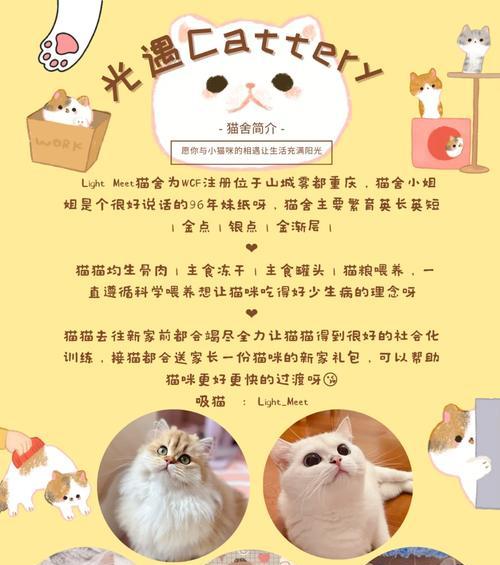 开猫舍的必要注册事项（猫舍注册流程及要求）