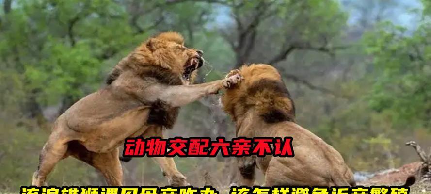 如何让狗六亲不认？（探索有效的药物方法使狗对主人忘记）