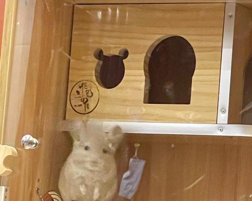 开宠物龙猫店的经营要点（宠物龙猫店开设所需的必备条件和经验分享）