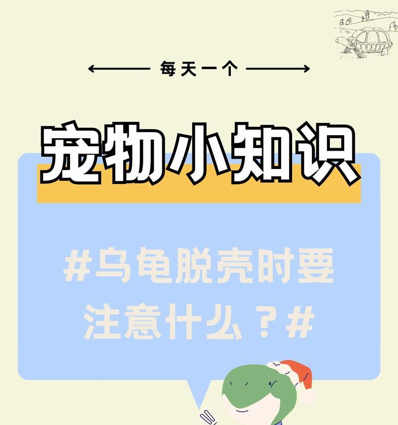 养宠物龟的注意事项（宠物龟养殖指南，让你的宠物健康快乐成长）