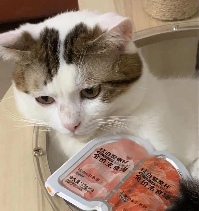 猫咪的易吸收食物（帮助猫咪更好地吸收营养，健康成长）