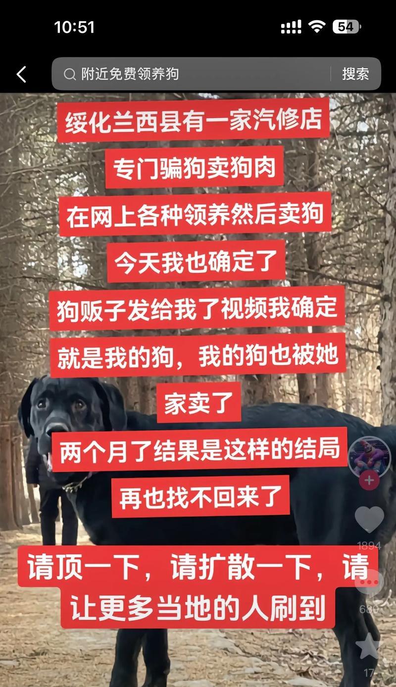 寻找被偷的狗（一个家庭与盗窃之间的故事）
