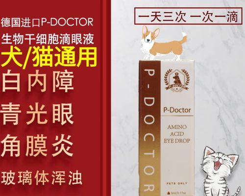 如何正确清洗狗的眼睛（选择合适的药品保护宠物的眼睛健康）
