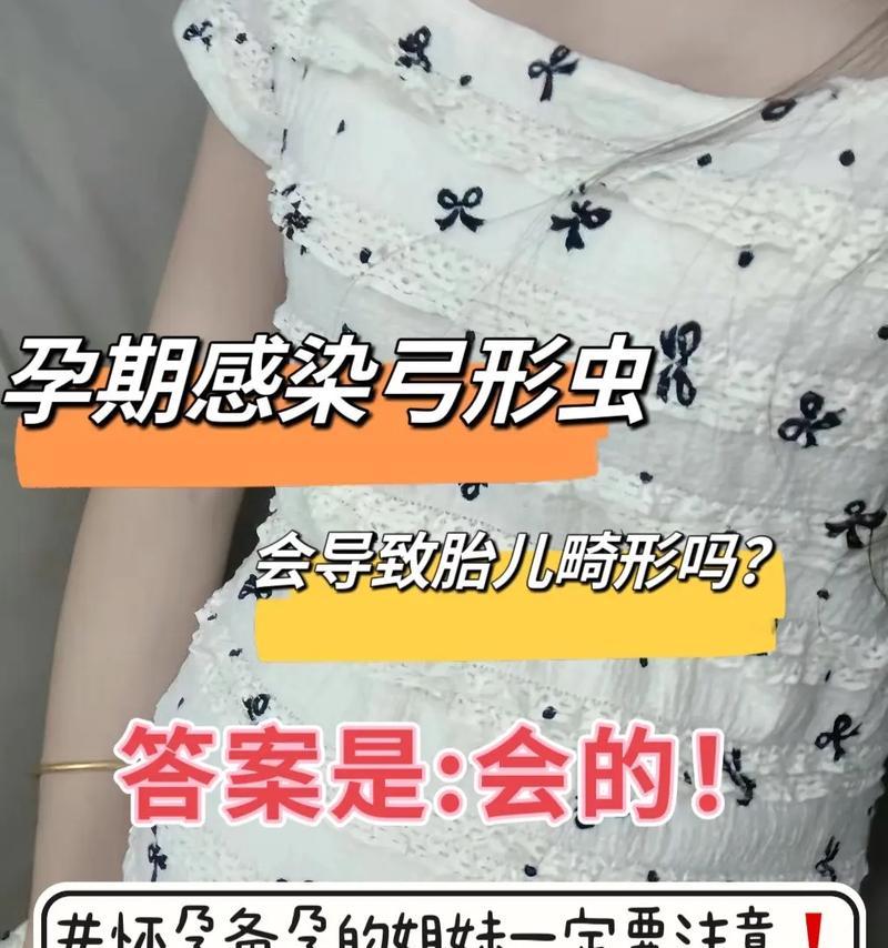 猫咪怀孕需要注意的事项（关于猫咪怀孕的必要知识与保健指南）