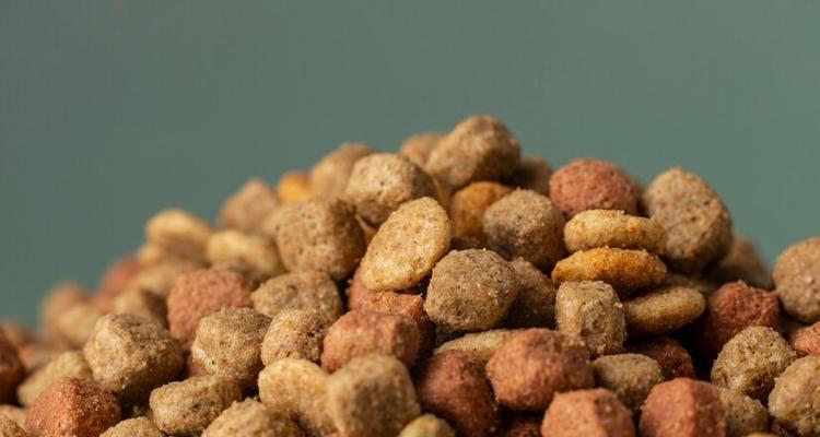 如何让狗的毛色更加美丽？（探讨饮食对狗毛色的影响及优质狗粮的选择）