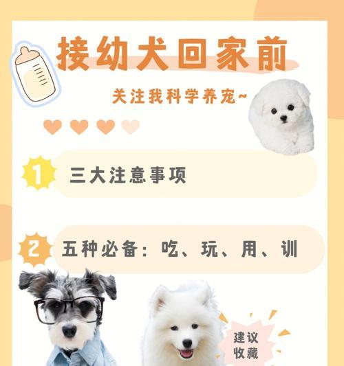 如何照顾刚出生幼犬（关键注意事项，助您为幼犬提供最佳护理）