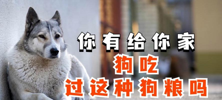 除了狗粮，你的狗狗还应该吃什么？（狗粮之外的营养需求及补充食物推荐）