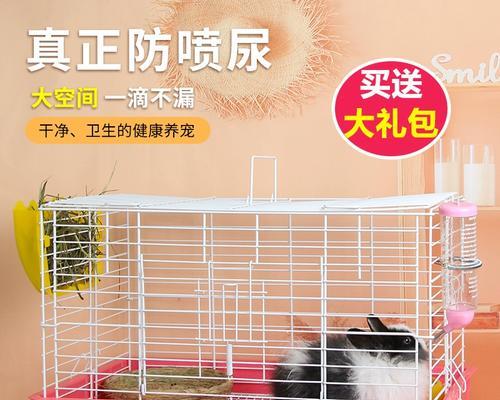 选择合适的笼子，给荷兰猪提供舒适的家园（荷兰猪养殖必备知识，了解适合的笼子类型和关键要素）