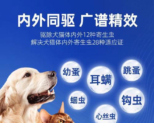 猫体内外驱虫全攻略（选择合适的药物保护猫咪健康）