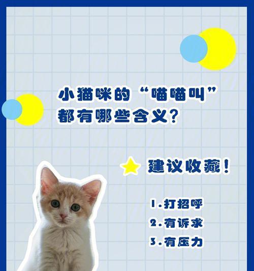 小猫咪对着你叫，是什么意思？（探索小猫咪的叫声及其含义）