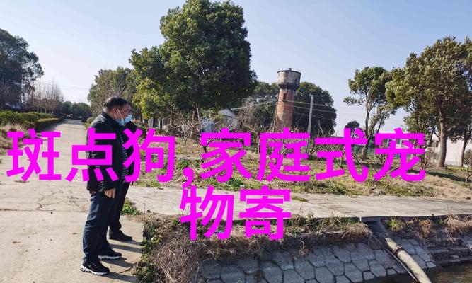 斑点狗的斑点（斑点的成长轨迹与美丽演变）