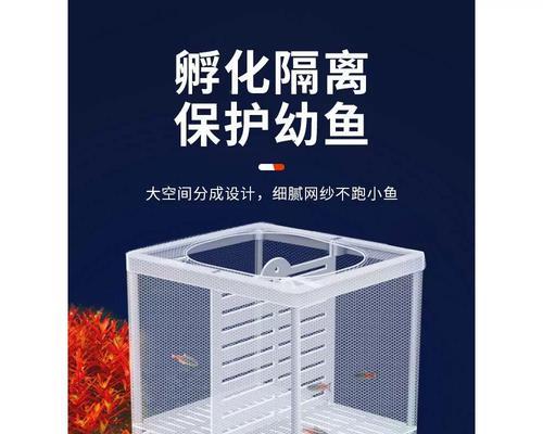 以斗鱼繁殖选择什么繁殖器好（探究适用于斗鱼繁殖的高效繁殖器具）