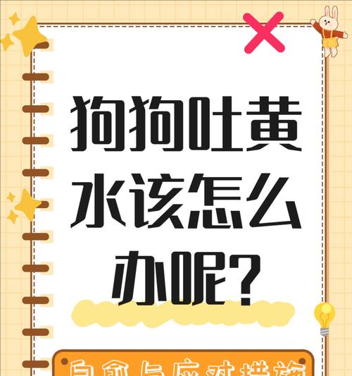 揭秘狗狗吐出的神秘水样物质（一种令人困惑的现象）