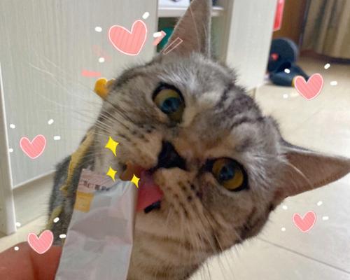 以什么东西多吃能绝育？（探索一种天然的避孕方法）