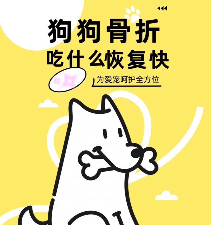 三个月的小狗如何补钙（科学补钙助狗宝宝快乐成长）