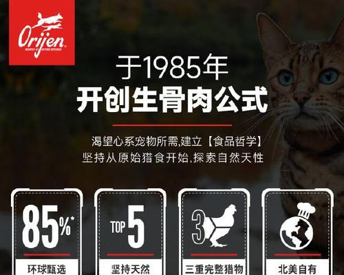 选择适合泰迪的最佳狗粮（如何为泰迪选择最适合的狗粮）