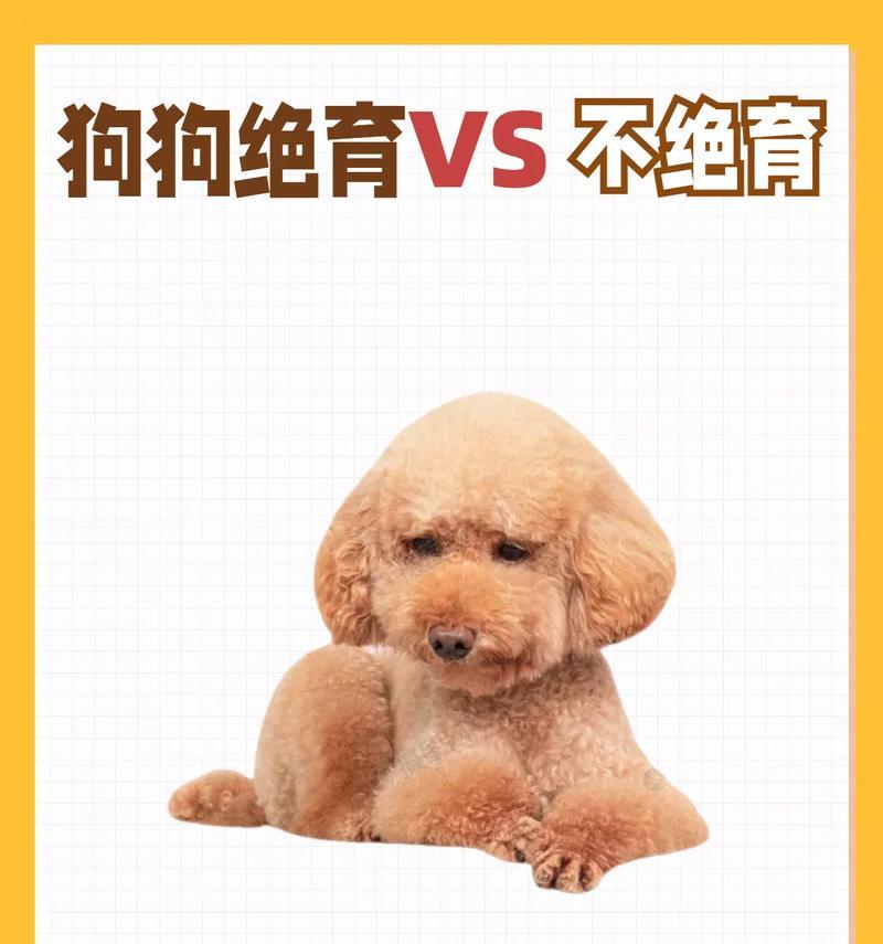 给狗做绝育的注意事项（了解绝育手术的重要性与影响）