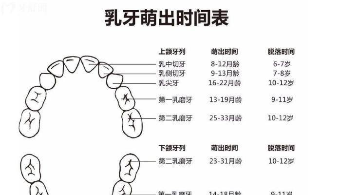 换牙期何时结束（了解儿童换牙的时间表和特征）