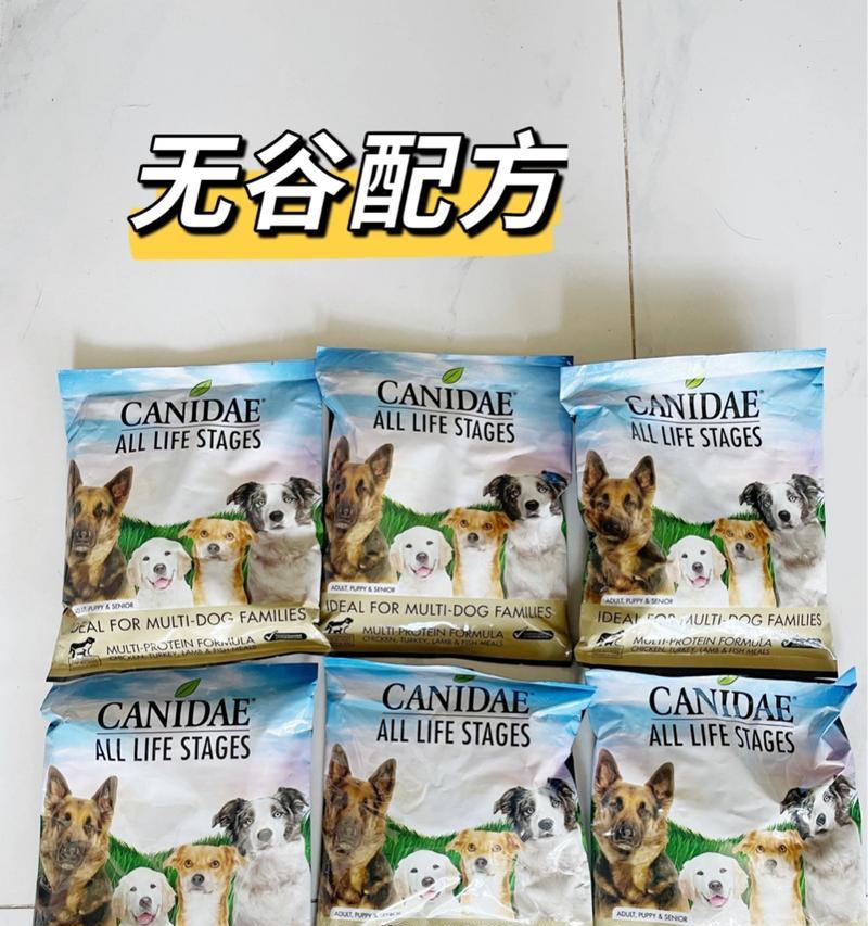 狗粮更换后，狗的胃口大开的原因（探究狗粮换后胃口好的原因及其影响）