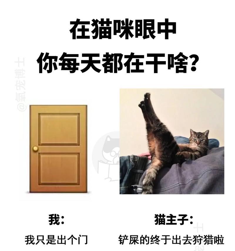 猫咪吐球的原因及解决方法（探究猫咪为什么会吐出毛球及如何预防和处理）