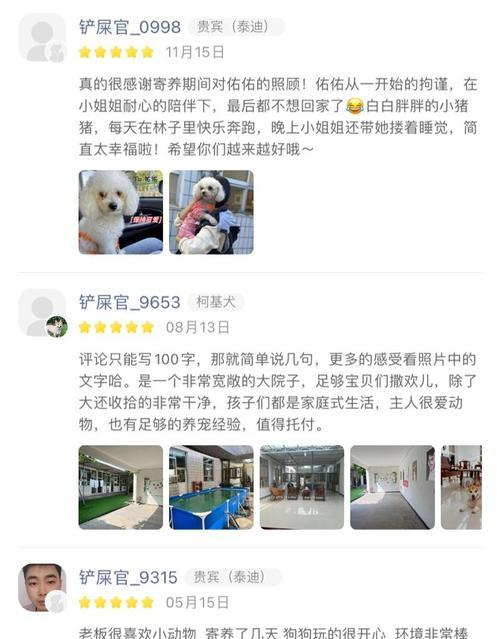 便捷购买狗的软件推荐（方便快捷、选择多样化的购狗软件推荐）