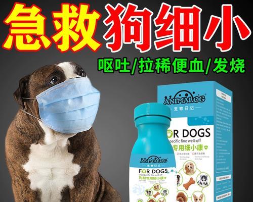 用小狗代替细小病？探讨新疗法的可能性（寻找新药物替代传统治疗，以小狗为榜样）