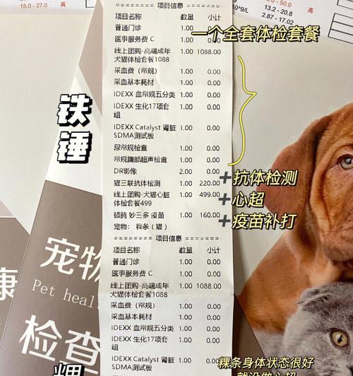 以猫血常规查什么影响？（探究猫血常规检查的重要性及影响因素）