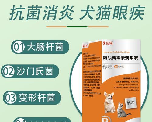 如何治疗狗狗黄脓眼屎的好药（探索可行的药物治疗方法，保护狗狗眼睛健康）