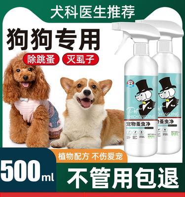 狗狗长跳蚤的原因及预防方法（宠物犬长跳蚤的相关问题及解决办法）