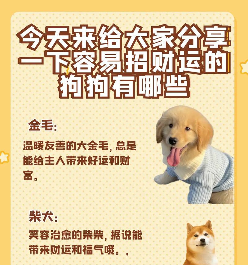 小博美幼犬的最佳狗粮选择（满足需求的健康狗粮，）