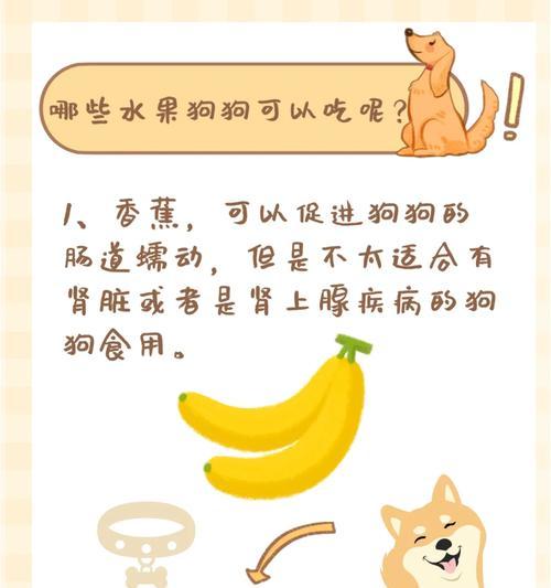 泰迪产后适宜食用的水果有哪些？（为泰迪产后提供营养与健康的水果推荐）