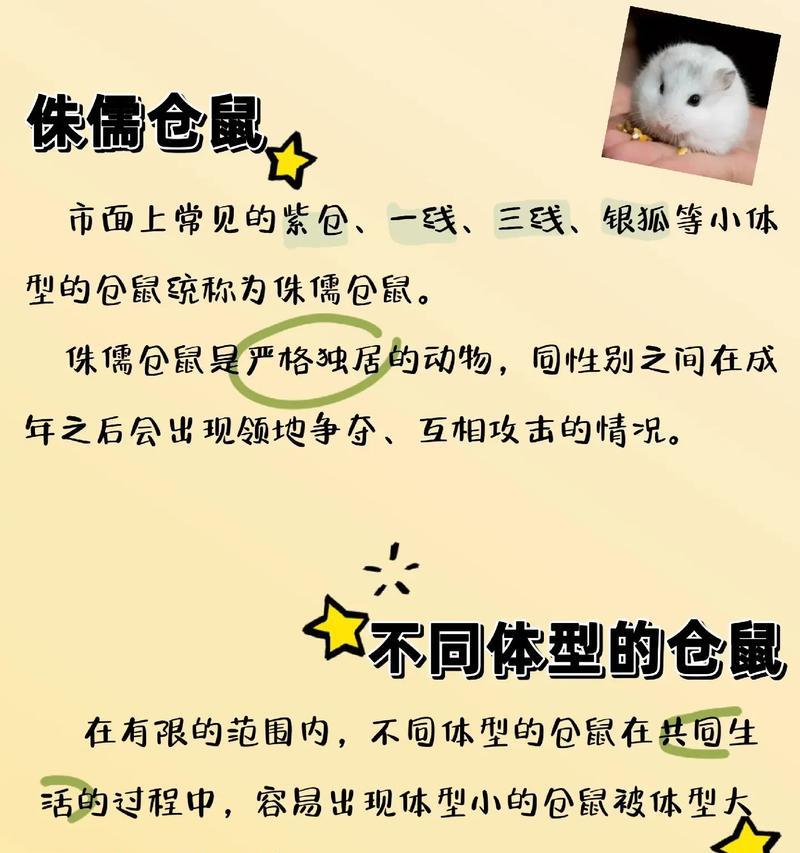 仓鼠的寓意（探寻仓鼠的意义，理解生活的真谛）
