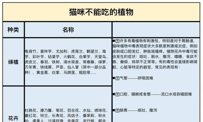猫感冒了该吃什么食物？（为病猫提供适当的食物和营养）