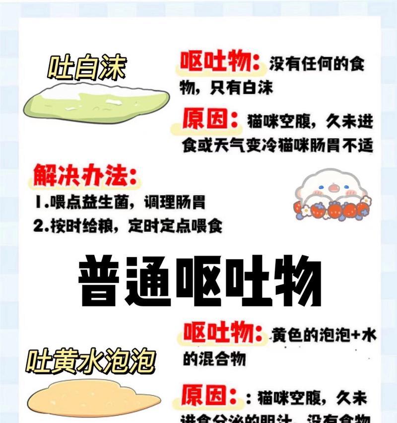 为什么猫咪会呕吐？（探究猫咪呕吐的原因和解决方法）