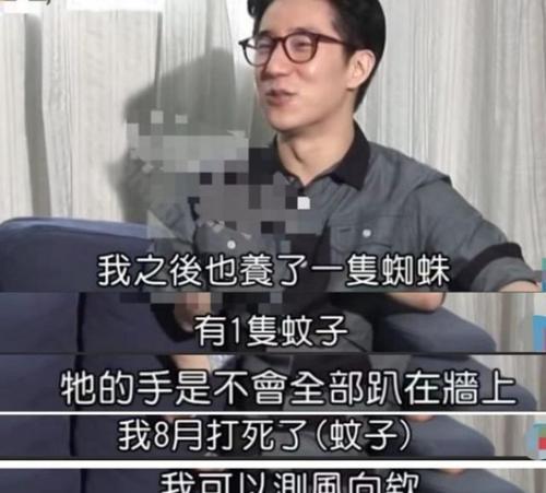 狗的败月败，传递的情感与成长（悲伤背后的成长与勇气）