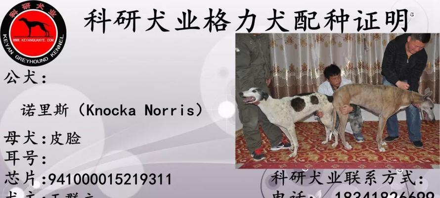 为你的狗狗上户口的好处（掌握主人身份让狗狗安全有保障）