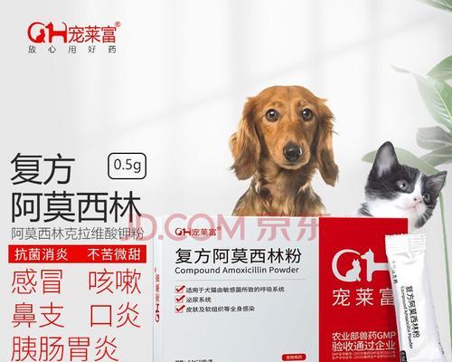 狗狗感冒吃什么小儿药？（了解适合狗狗感冒的小儿药品，并正确使用）