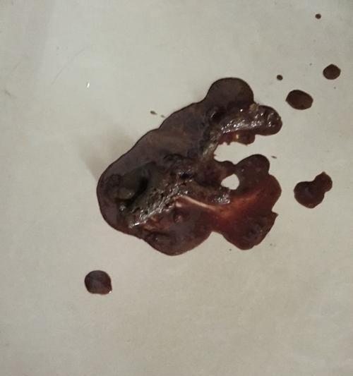 泰迪吐出血的原因及应对措施（了解泰迪吐血的原因，保障宠物健康）