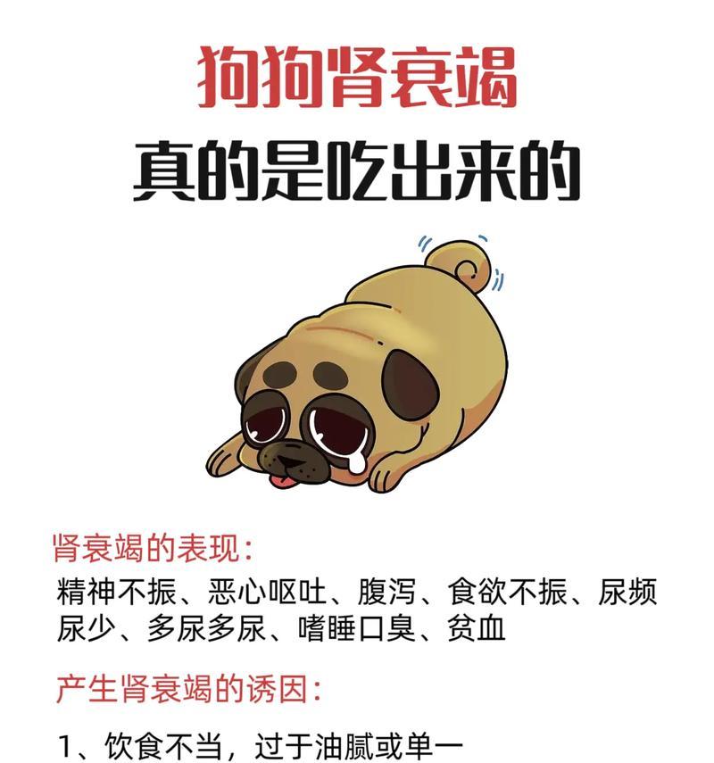 为什么狗什么都不吃？（探索狗不吃食物的原因及解决办法）