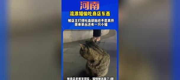 狗咳血的原因及处理方法（探究狗咳血的常见原因以及有效的处理方法）