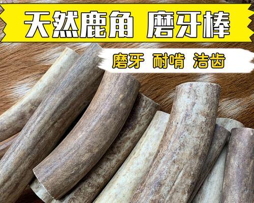 法斗零食指南（以法斗为伴，选择适合的零食是关键）