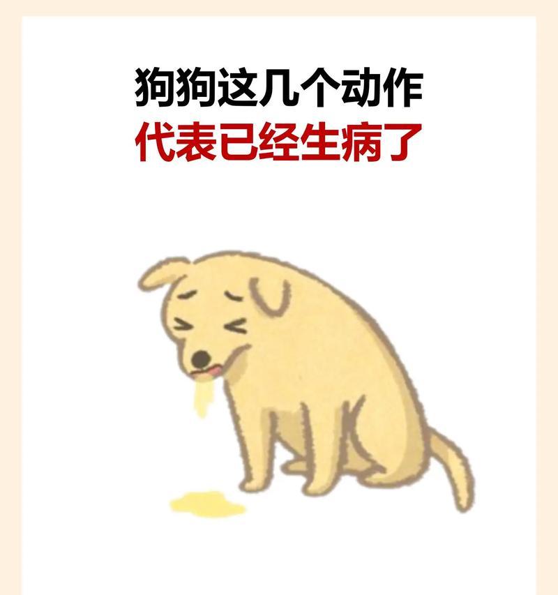 小狗为什么老挠痒？（探究小狗挠痒的原因及解决方法）