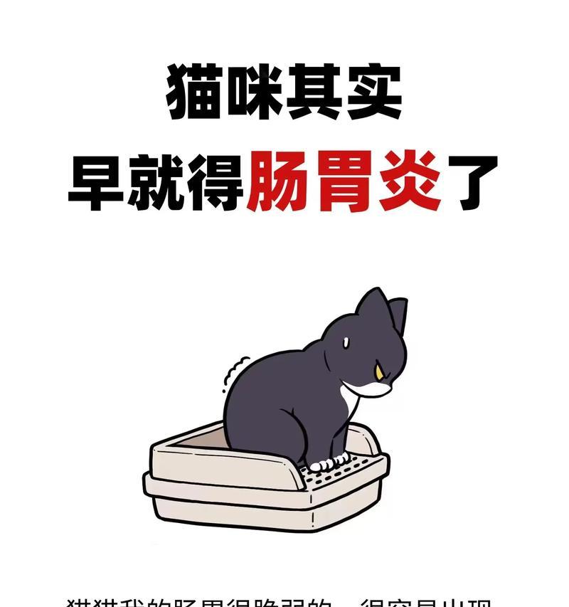 如何判断猫咪拉肚子的症状（了解猫咪拉肚子的表现及其可能的原因）