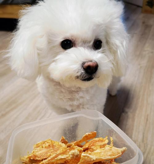 探寻狗狗喜爱的零食（揭秘狗狗们心中的美味秘密）