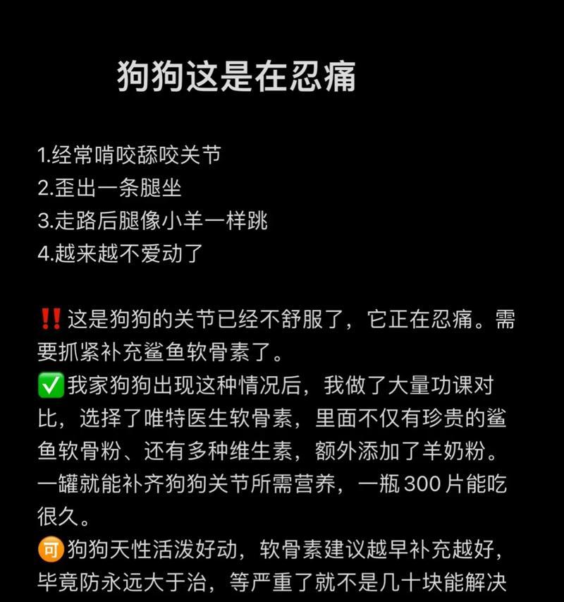 关于以转养的狗需要注意什么（提供给以转养狗主人的必要知识与技巧）